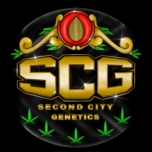 Genetics Second City 